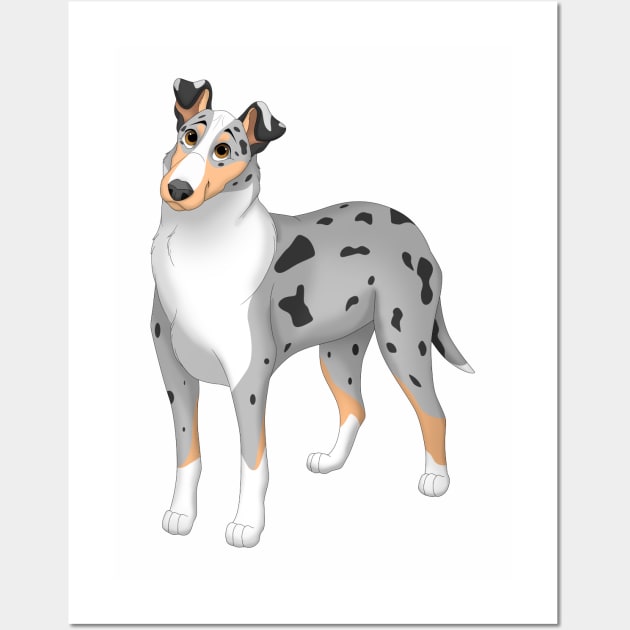 Blue merle tan border collie sales